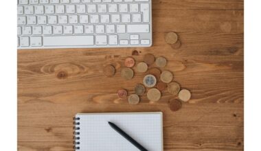 namų ūkio išlaidos tyliai sekinančios