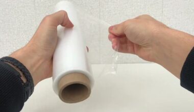 namų šeimininkės visada užšaldyti suvynioti