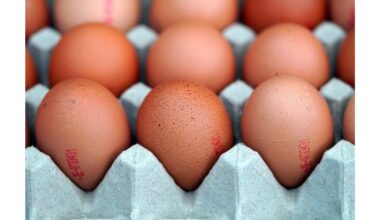 kiek laiko kiaušiniai išlieka tinkami naudoti