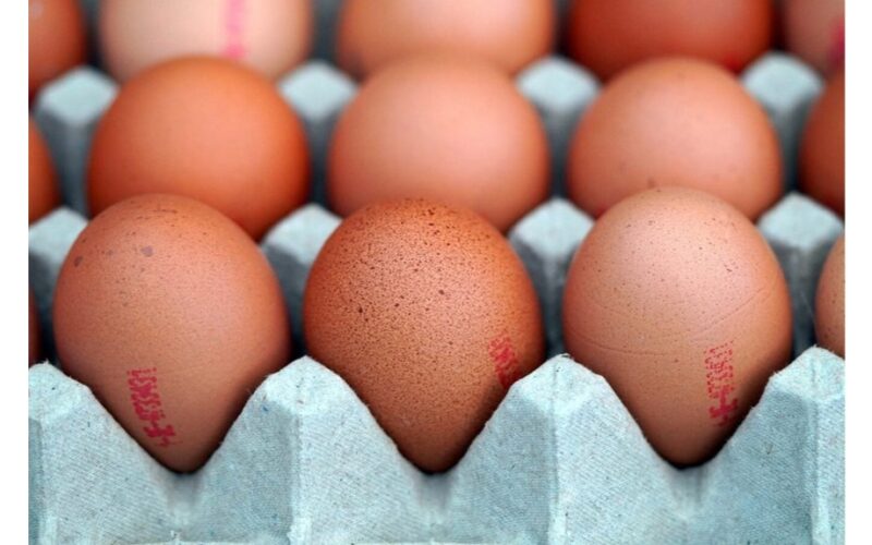 kiek laiko kiaušiniai išlieka tinkami naudoti