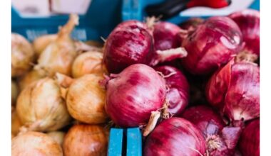 kaip visada pirkti šviežius svogūnus