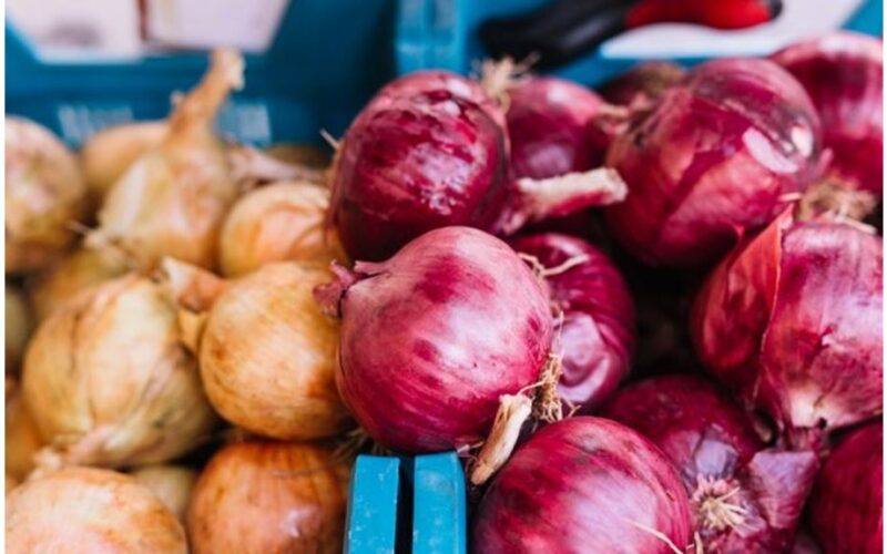 kaip visada pirkti šviežius svogūnus