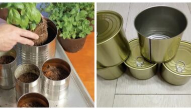 aš laikau uogienių stiklainius