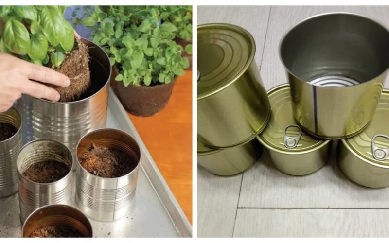 aš laikau uogienių stiklainius