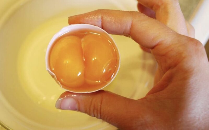 aš renkuosi dviskystes kiaušinius