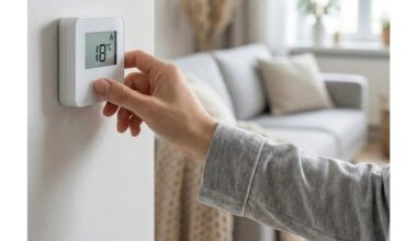 ideali patalpos temperatūros intervalo reikšmė