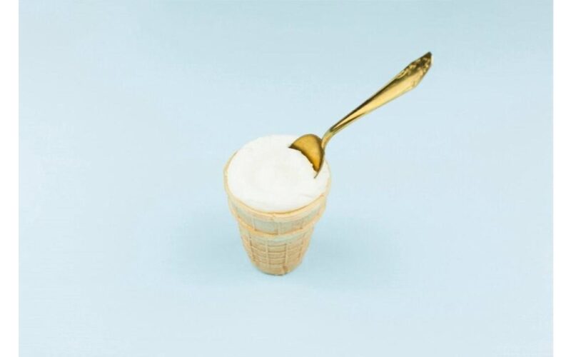 jubilee debate soviet plombir