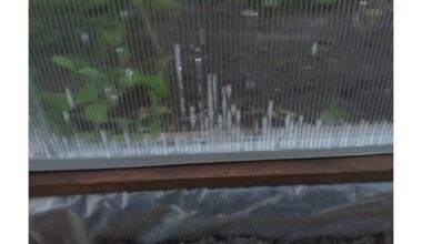 išlaikyti šiltnamį be kondensacijos