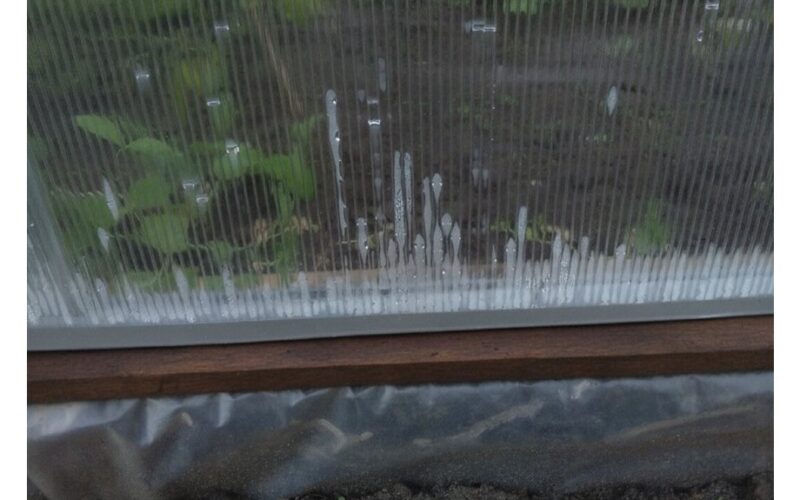 išlaikyti šiltnamį be kondensacijos