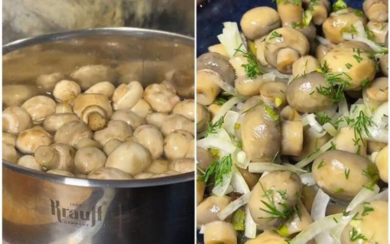 Marinuoti grybai greitai dingsta