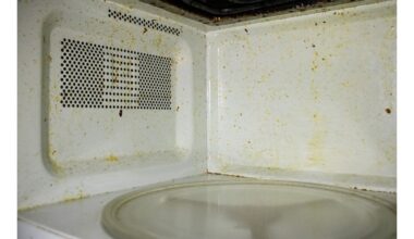 mikrobangų krosnelė, išvalyta centais