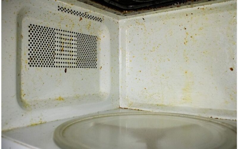 mikrobangų krosnelė, išvalyta centais