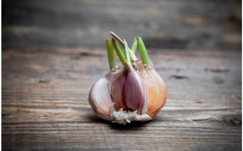 dauguma žmonių klysta