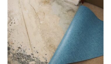 pelė po linoleumu dingo