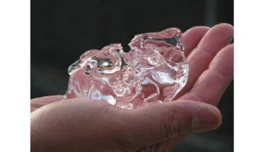 Niekada netrinkite sušalusių rankų