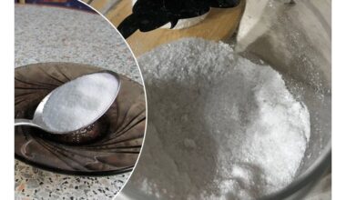 vienas ingredientas paaiškina beskonį skonį