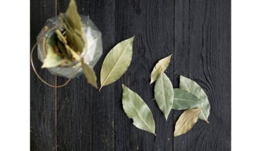 vienas kvapas pakeičia namus