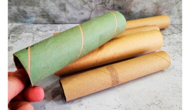 popierinių rankšluosčių tulpės triukai