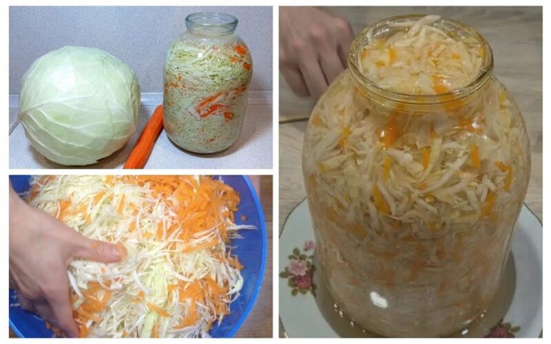 puikiai traški kopūstų sezono