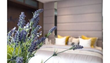 padėkite levandas, kad išsklaidytų