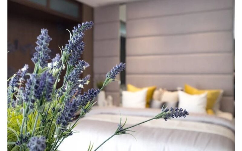 padėkite levandas, kad išsklaidytų