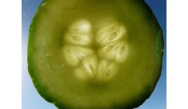 poliruokite veidrodžius agurkais