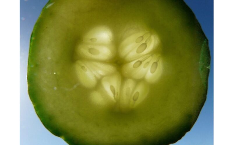 poliruokite veidrodžius agurkais