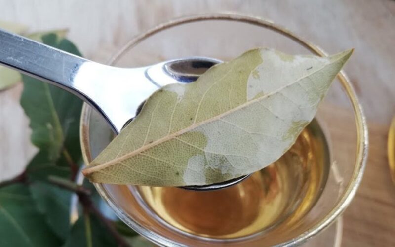 užpilant verdantį vandenį ant lauro lapų