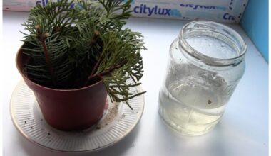 genėti vieną šaką parke