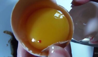 raudonas taškas kiaušinyje