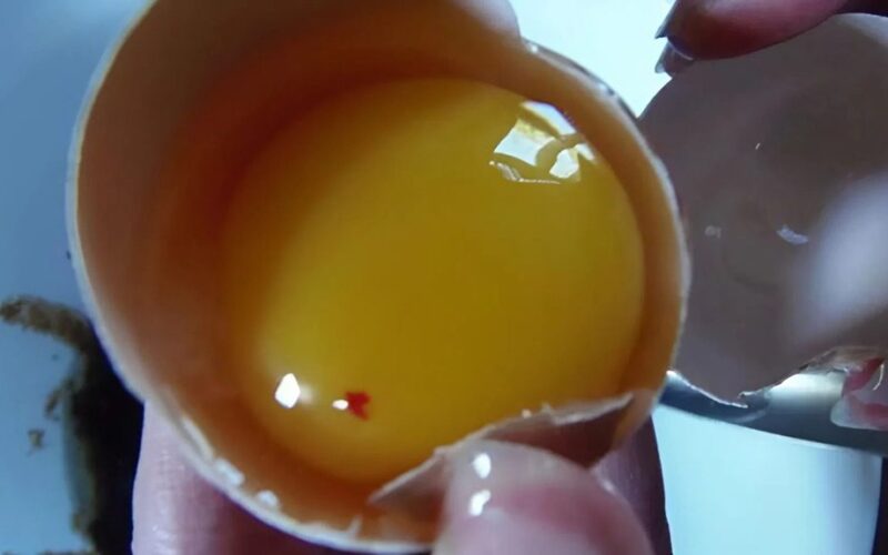 raudonas taškas kiaušinyje