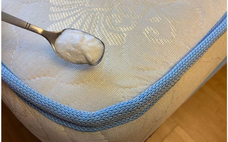 greitai atkurkite nusidėvėjusį kilimą