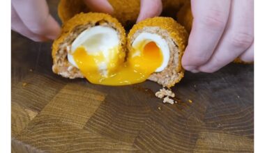 royal scotch eggs delight