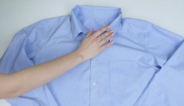 paskubėjau į darbą, garais išlyginti marškiniai