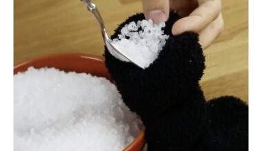 sūrus kojinė ant palangės