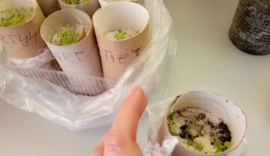 saugokite tualetinio popieriaus ritinius