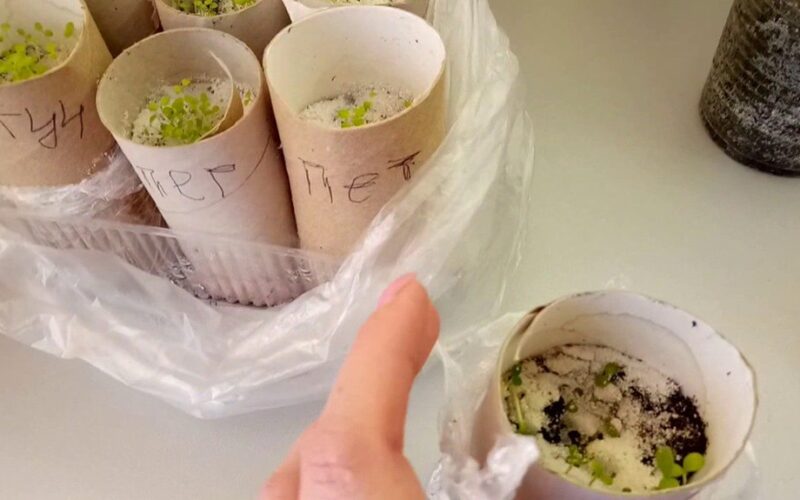 saugokite tualetinio popieriaus ritinius