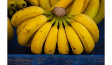 Pamatė šias bananus bėgo