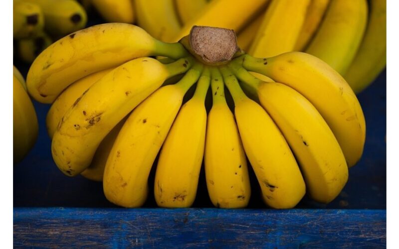 Pamatė šias bananus bėgo