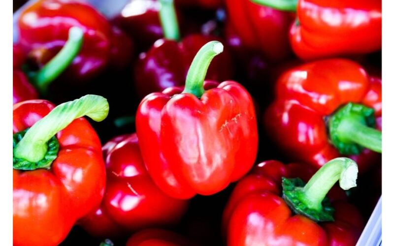 pagreitinti paprikos dygimą 12 val