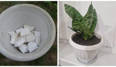 polistirolo naudojimas drenažui