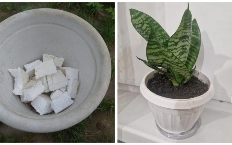 polistirolo naudojimas drenažui