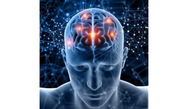 sėklidės aktyviai vystosi iki 32 metų