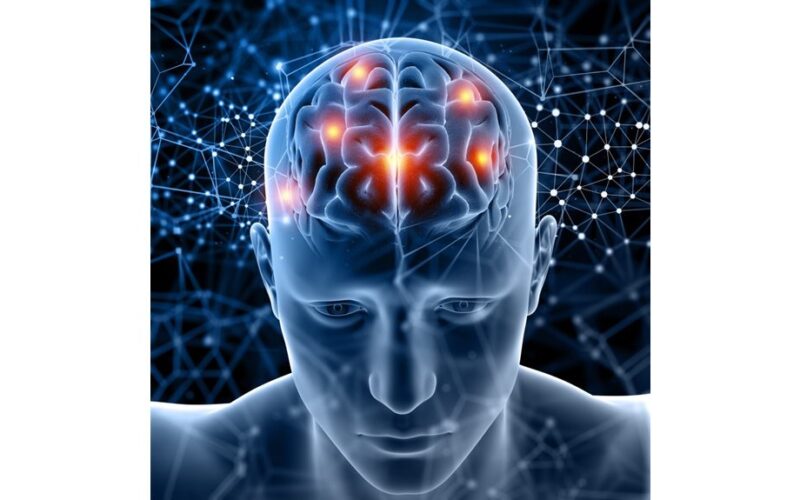 sėklidės aktyviai vystosi iki 32 metų