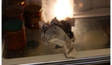 trys laikraščiai šaldytuve