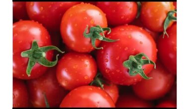 nedelsiant išmeskite juos