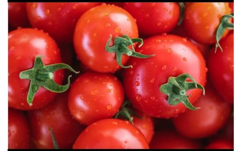 nedelsiant išmeskite juos