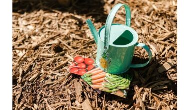 du lašai greitesnis dygimas