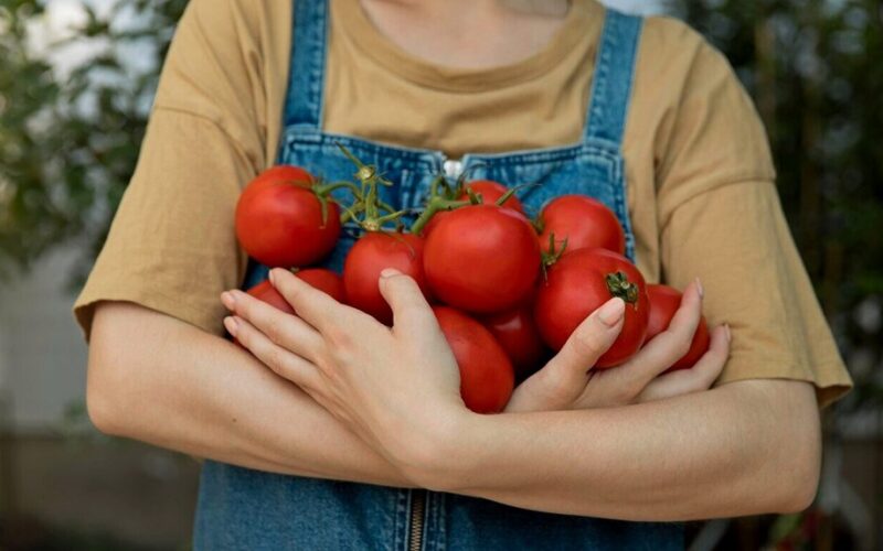 dvi šaukštai vienam krūmui