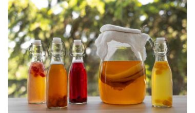 kas turėtų vengti kombučos